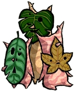 Korogus