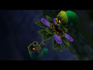 Screenshot de Majora's Mask
