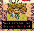 Screenshot de Oracle of Ages