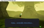 Image de Ocarina of Time