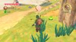 Image de Skyward Sword