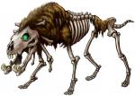 Image de Twilight Princess