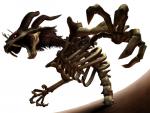 Image de Twilight Princess