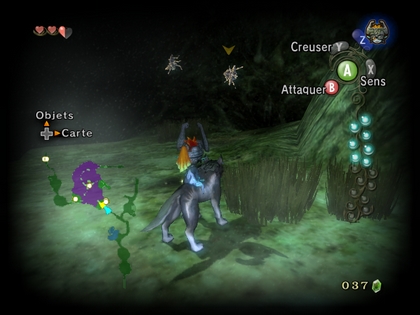 Screenshot de Twilight Princess