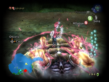 Screenshot de Twilight Princess