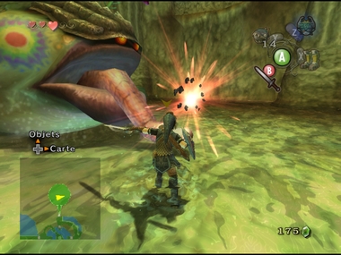 Screenshot de Twilight Princess