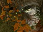 Image de Twilight Princess