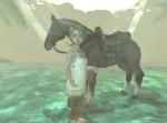 Image de Twilight Princess