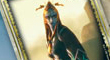 Apr�s les cartes Pok�mon, les cartes Zelda