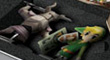 Spirit Tracks : une �dition limit�e