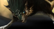 NOE et Twilight Princess