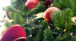 Joyeux No�l !