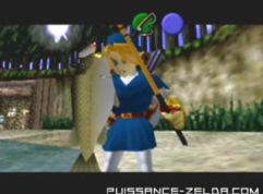 Mémoires de 20 ans de Zelda-dépendance