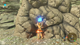 Bombe dans Breath of the Wild