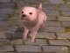 Chiens dans Twilight Princess