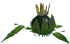 Chou-Péteur dans Majora’s Mask