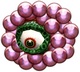 Glob'Oeil dans Majora’s Mask