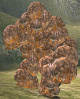 Golem Goron