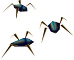 Illustration de Insectes