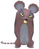 Rat