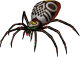 Skulltula