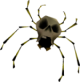 Skullwalltula dans Ocarina of Time