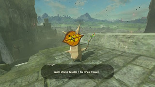 Screenshots de Breath of the Wild - Korogus