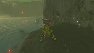 Screenshots de Breath of the Wild - Korogus