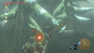 Screenshots de Breath of the Wild - Korogus