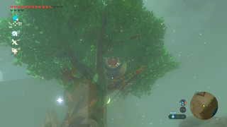 Screenshots de Breath of the Wild - Korogus