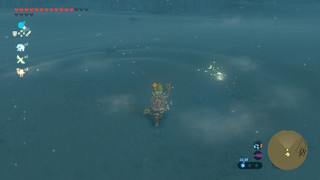 Screenshots de Breath of the Wild - Korogus