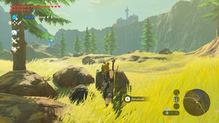 Screenshots de Breath of the Wild - Korogus