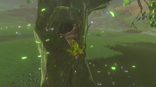 Screenshots de Breath of the Wild - Korogus