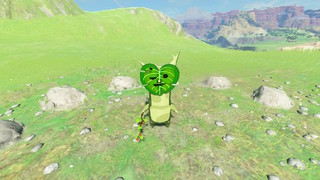 Screenshots de Breath of the Wild - Korogus