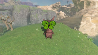 Screenshots de Breath of the Wild - Korogus