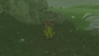 Screenshots de Breath of the Wild - Korogus