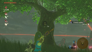 Screenshots de Breath of the Wild - Korogus