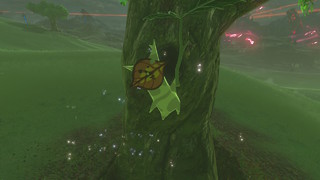 Screenshots de Breath of the Wild - Korogus