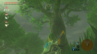 Screenshots de Breath of the Wild - Korogus