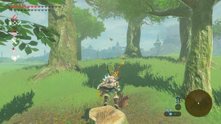 Screenshots de Breath of the Wild - Korogus