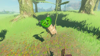 Screenshots de Breath of the Wild - Korogus