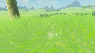 Screenshots de Breath of the Wild - Korogus