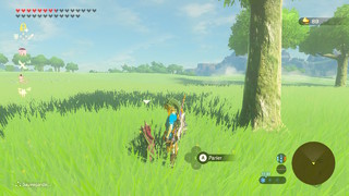 Screenshots de Breath of the Wild - Korogus