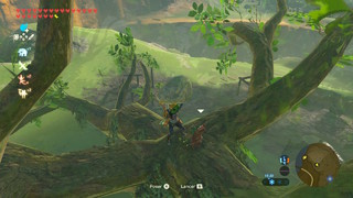 Screenshots de Breath of the Wild - Korogus