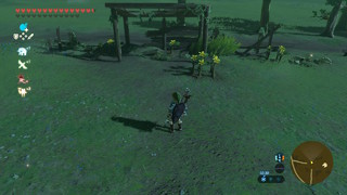 Screenshots de Breath of the Wild - Korogus