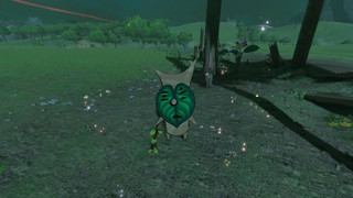 Screenshots de Breath of the Wild - Korogus