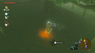 Screenshots de Breath of the Wild - Korogus