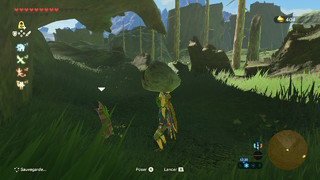 Screenshots de Breath of the Wild - Korogus