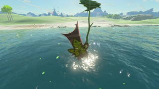 Screenshots de Breath of the Wild - Korogus