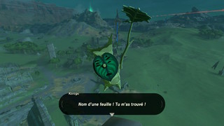 Screenshots de Breath of the Wild - Korogus